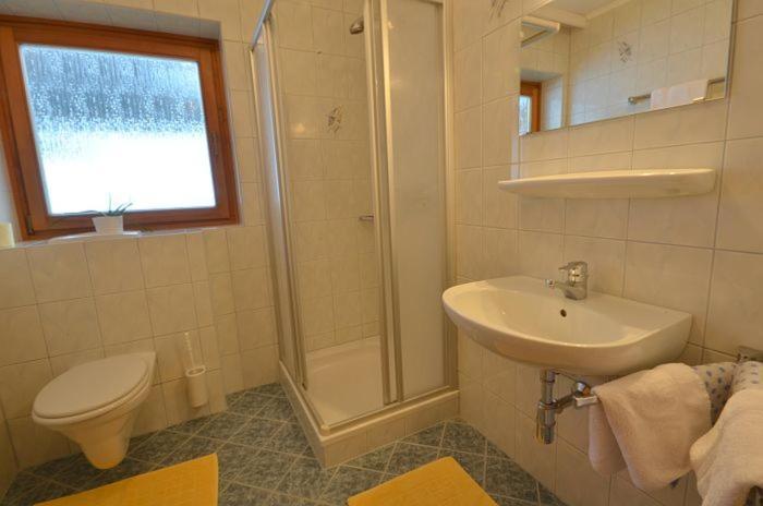 Apartment Mitteregger